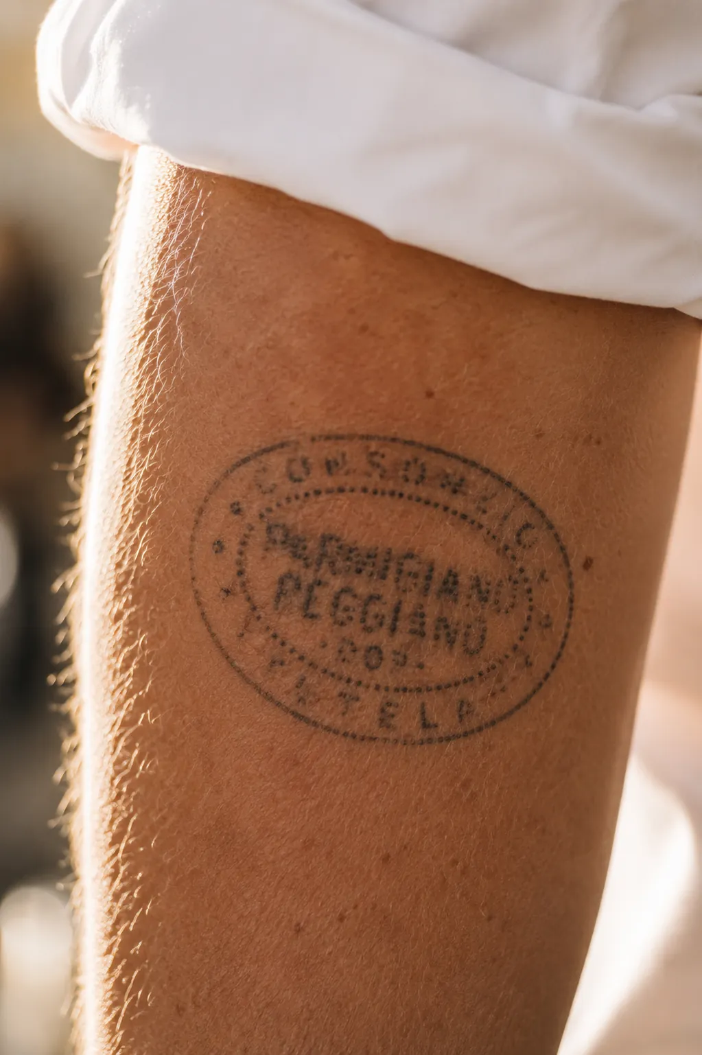 Parmigiano Reggiano consortium fire-brand